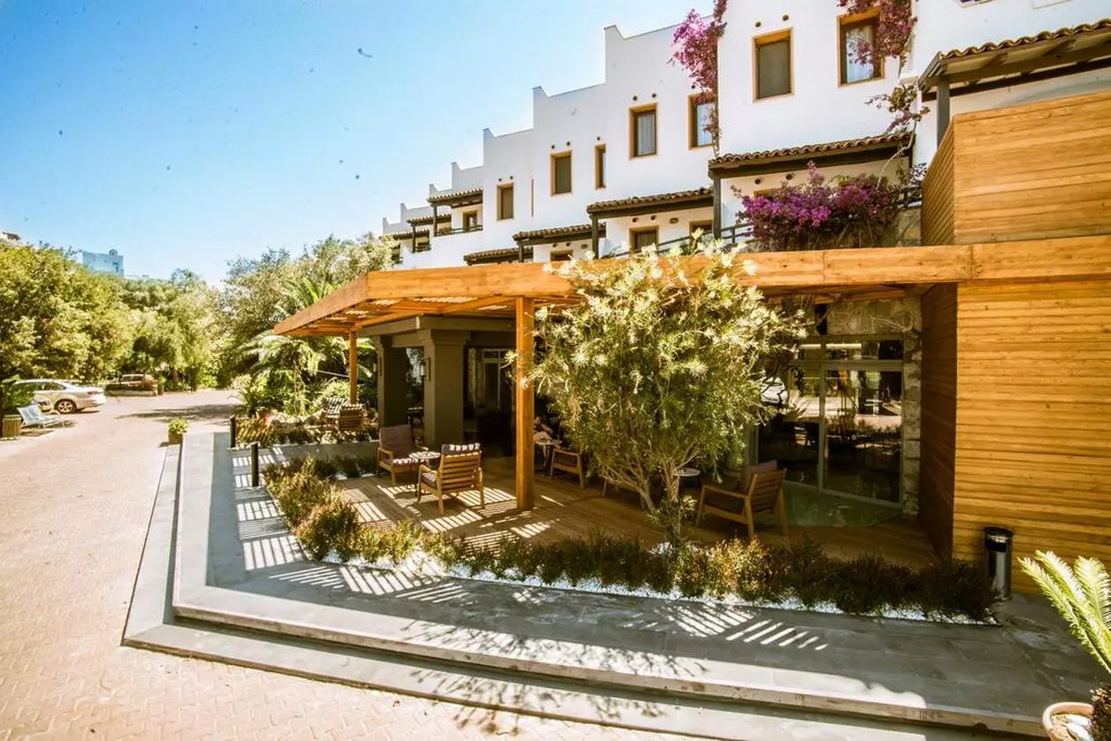 greenbeach_shabaviz (13).jpg